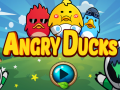 Angry Ducks