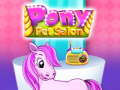 Pony Pet Salon