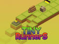 Tiny RunnerS