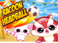 Racoon Headball