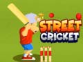 Street Cricket