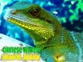 Chinese Water Dragon Jigsaw