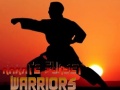 Karate Sunset Warriors