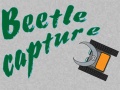 Beetle Capture