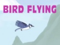 Bird Flying