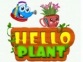 Hello Plant