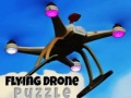 Flying Drone Puzzle