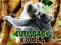 Cute Baby Koala Bear