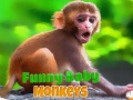 Funny Baby Monkey