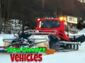 Snow Groomer Vehicles