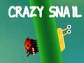 Crazy snail