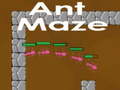 Ant maze