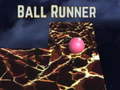 Ball runner