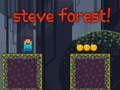 Steve Forest