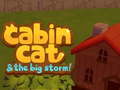 Cabin Cat & the big Storm