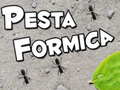 Pesta Formica