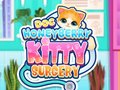 Doc HoneyBerry Kitty Surgery