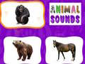 Animal Sounds