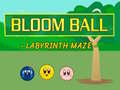 Bloomball Labyrinth Maze