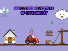 Challenge adventure of cute rabbit