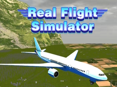 Real Flight Simulator