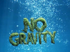 No Gravity