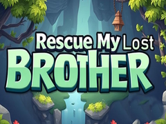 Rescue My Lost Brother