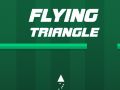 Flying Triangle