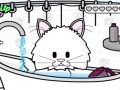 Pampered Paws: Kitty Care
