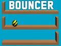 Bouncer