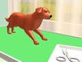 Pet Care