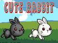 Cute Rabbit