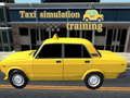 Taxi simulation training