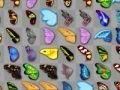 Butterfly kyodai
