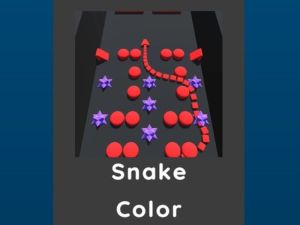 Snake Color