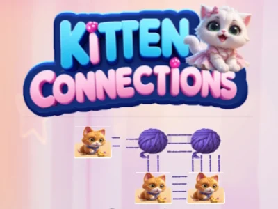Kitten Connections