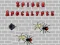 Spider Apocalypse