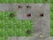 Spider Tower Defence