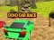 Dino Car Race