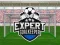 Expert Goalkeeper