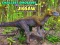 Smallest Dinosaurs Jigsaw