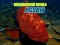 Underwater World Jigsaw