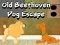 Old Beethoven Dog Escape