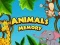 Animals Memory