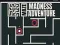 Maze Madness Adventure