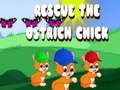 Rescue The Ostrich Chick