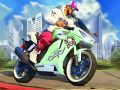 Motorcycle Racer: Road Mayhem