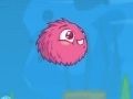 Frizzle Fraz 6
