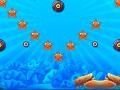 Blowfish 