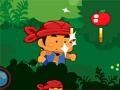 Rainforest Tales 